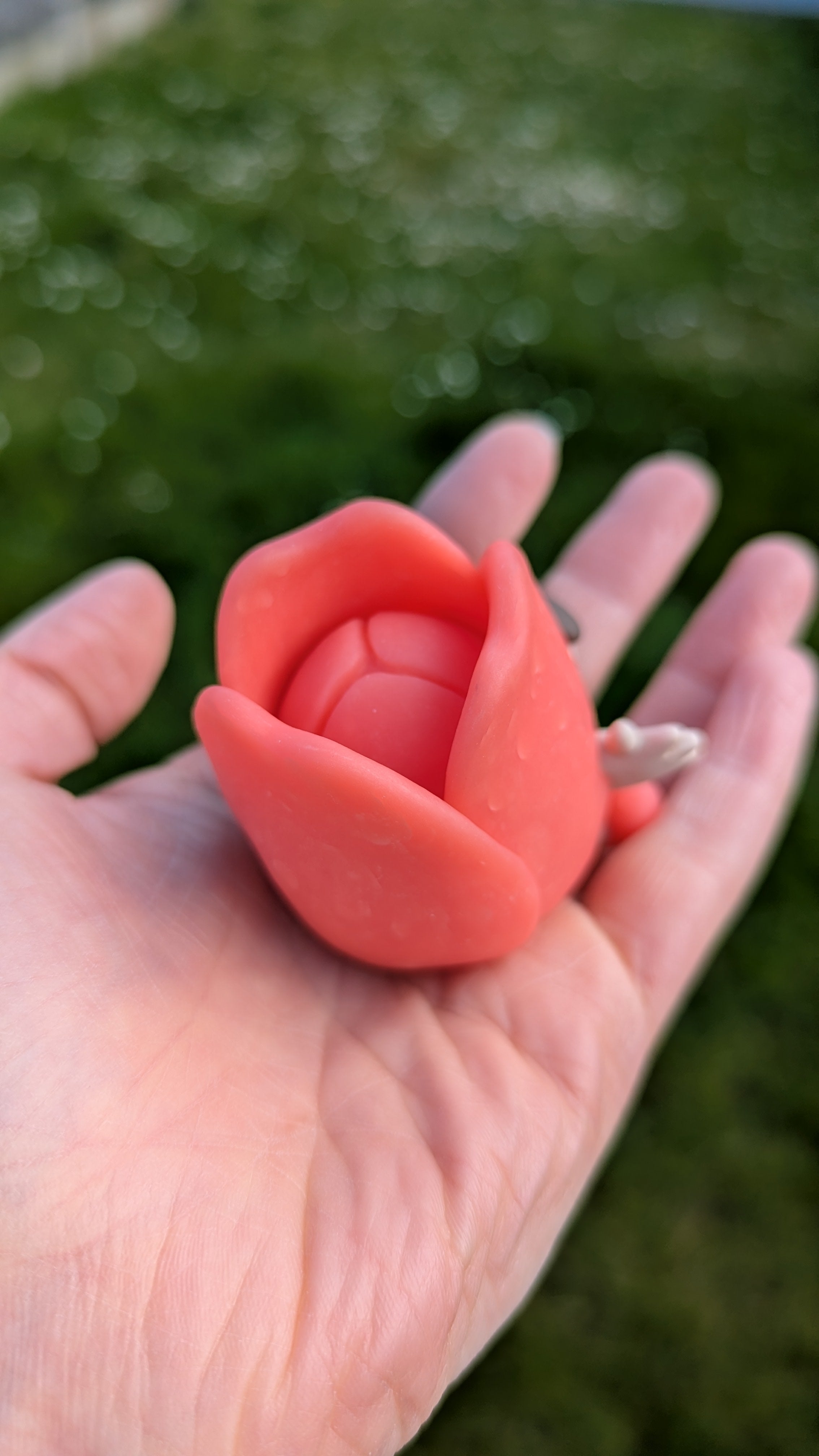 Spring Tulip