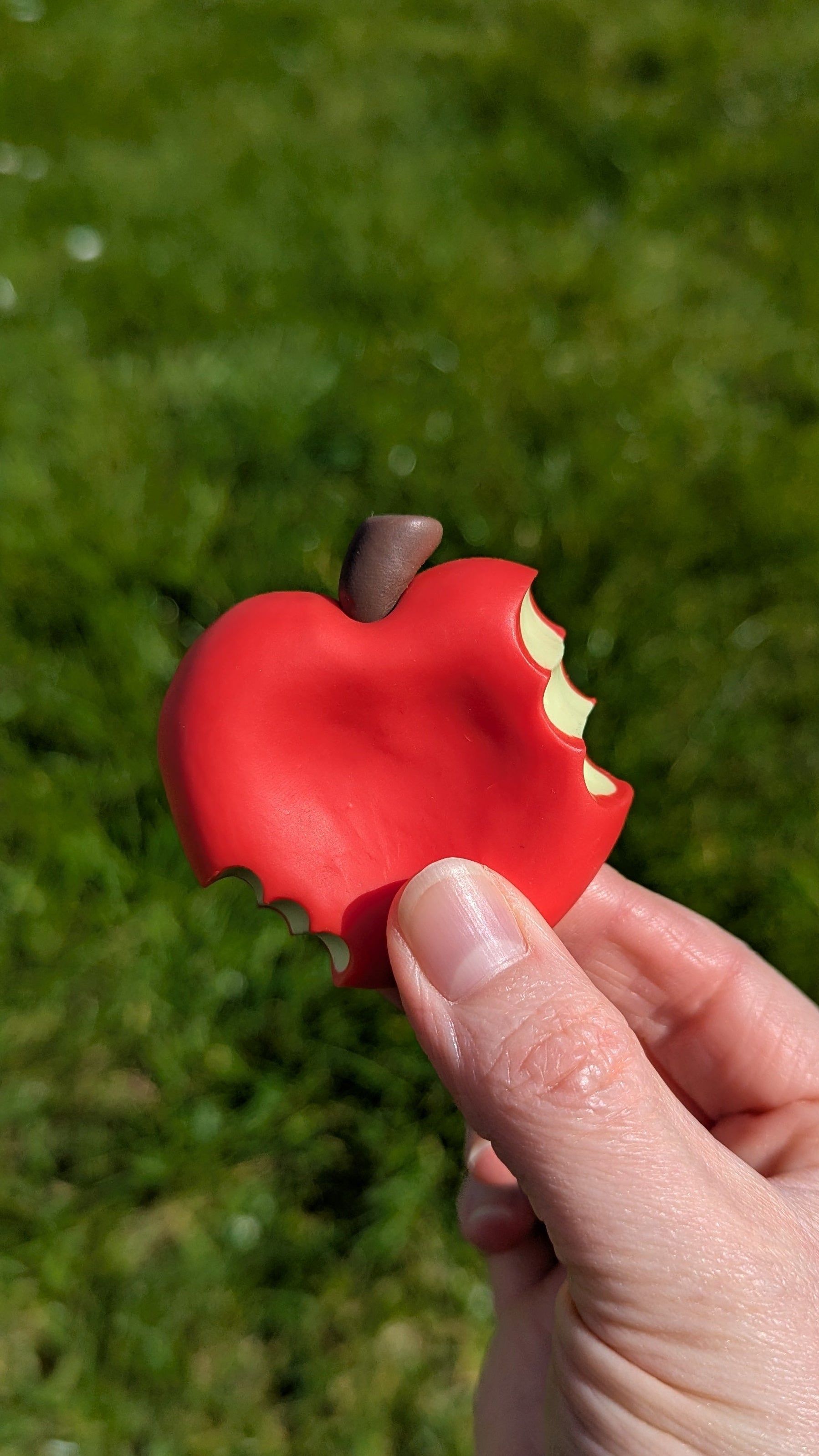 Hand holding a red apple-shaped cookie against a grassy background